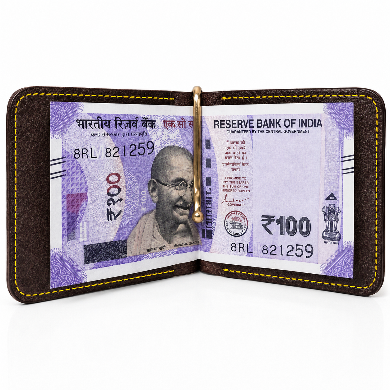 DELVAE Cactus Money clip - Vegan Money clip